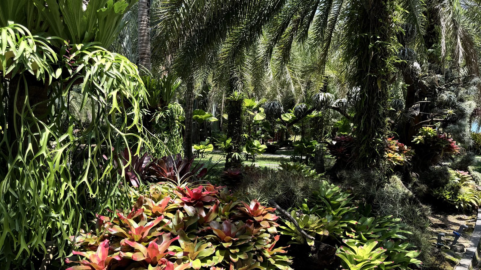 A garden that does not perform